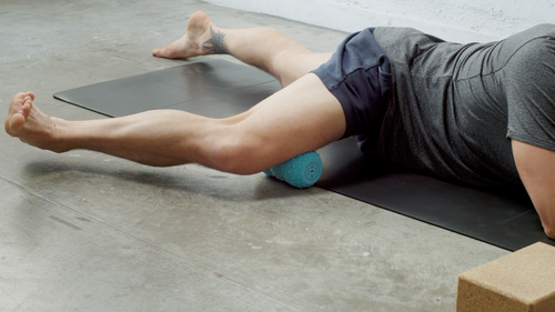 Adductors