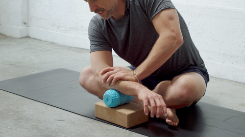 Forearm Flexors